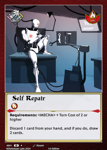 Self Repair A0041 1st Edition