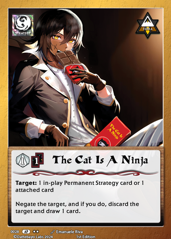 The Cat is a Ninja S0028 1st Edition