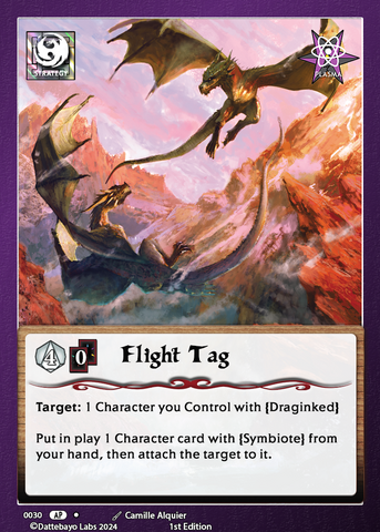 Flight Tag S0030 1st Edition